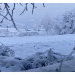 Hiver