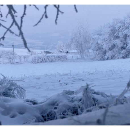 Hiver