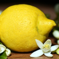 Citron